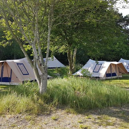 Ameland Tentenverhuur Atv بالم المظهر الخارجي الصورة