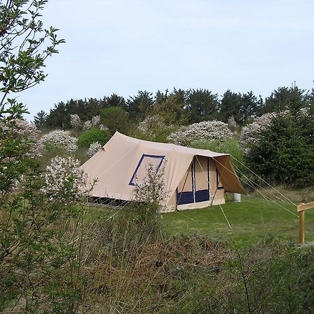 Ameland Tentenverhuur Atv بالم المظهر الخارجي الصورة