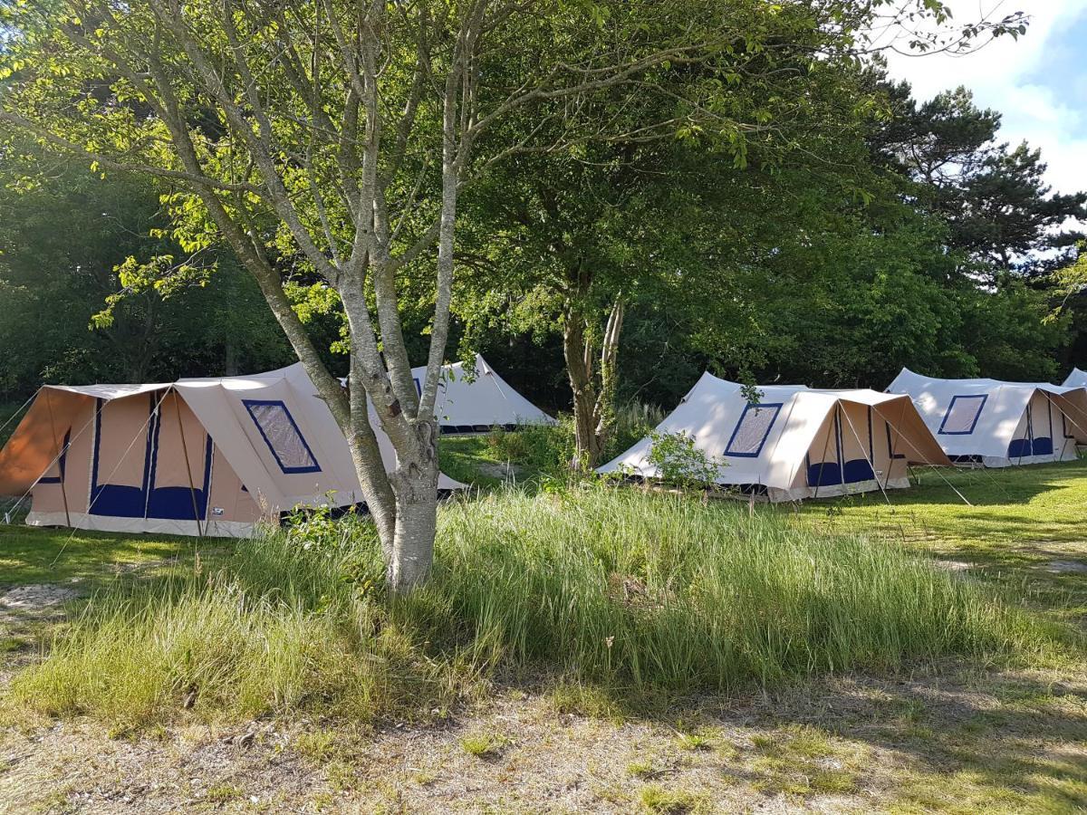 Ameland Tentenverhuur Atv بالم المظهر الخارجي الصورة