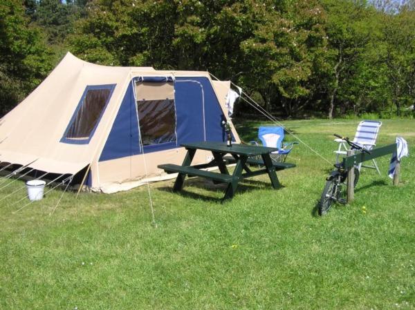 Ameland Tentenverhuur Atv بالم المظهر الخارجي الصورة
